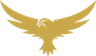 Valkyrie eagle emblem
